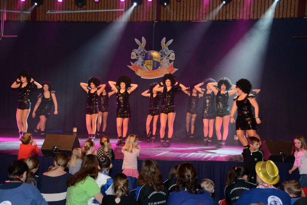 ../Images/Dansmarieke festival 2015 552.jpg